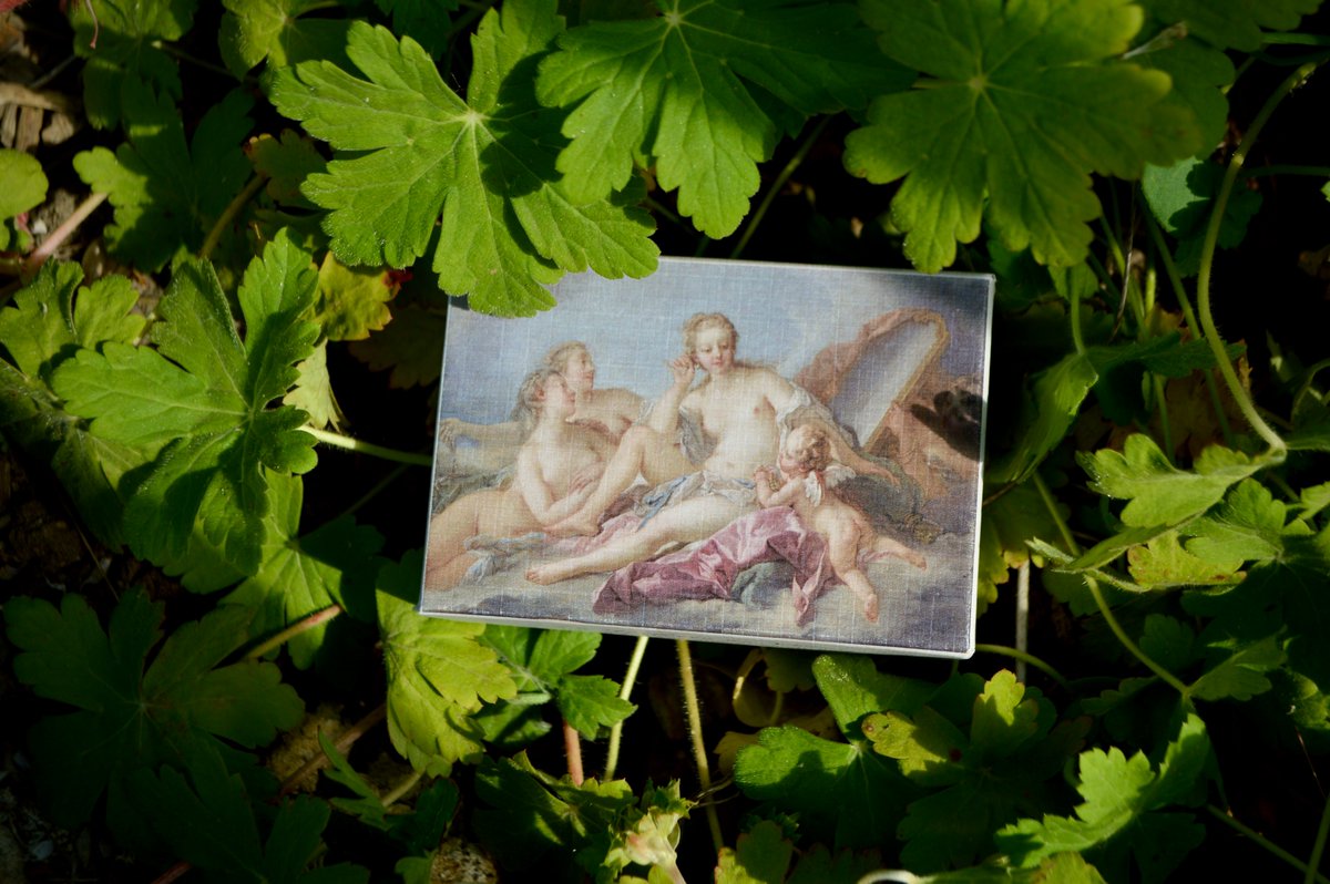 CollegeroyalSAS's tweet image. C&apos;est officiel, c&apos;est le #PRINTEMPS !🌸
Quoi de mieux que notre #savon frais « Toilette de #Vénus », pour célébrer l&apos;arrivée des bourgeons et du soleil ? 🌞
🫧 Savon fait en 🇫🇷 et enrichi au beurre de karité bio disponible sur notre boutique en ligne eshop-collegeroyal.fr