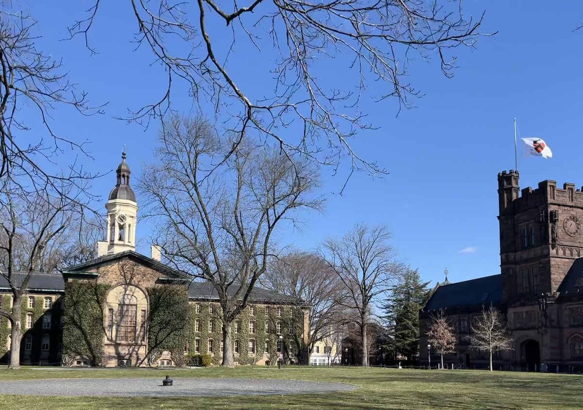 Josefine Proll tweet media