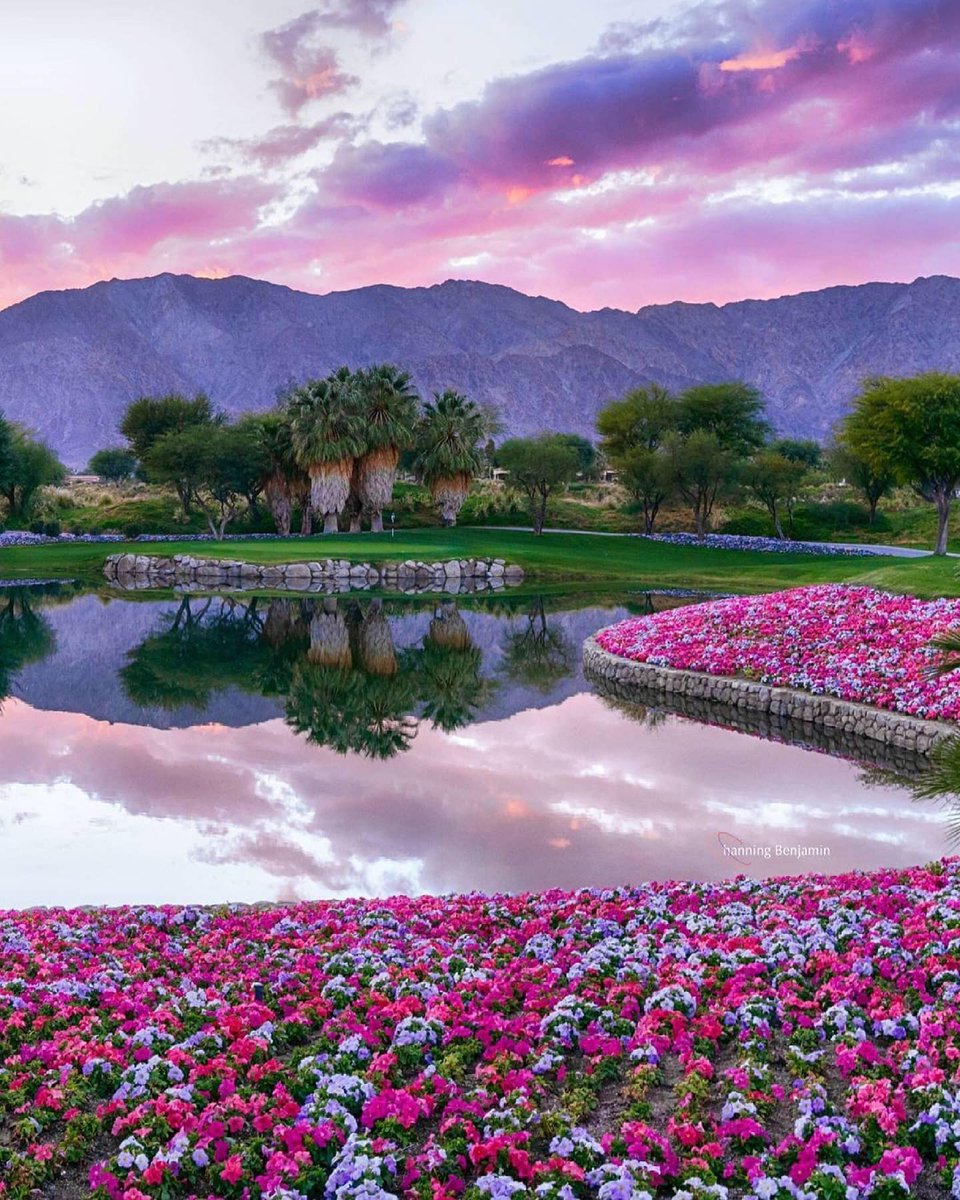 Spring is finally here. 😍

(📸: Instagram/ couldbetheday &amp; channingbenjaminphotography)