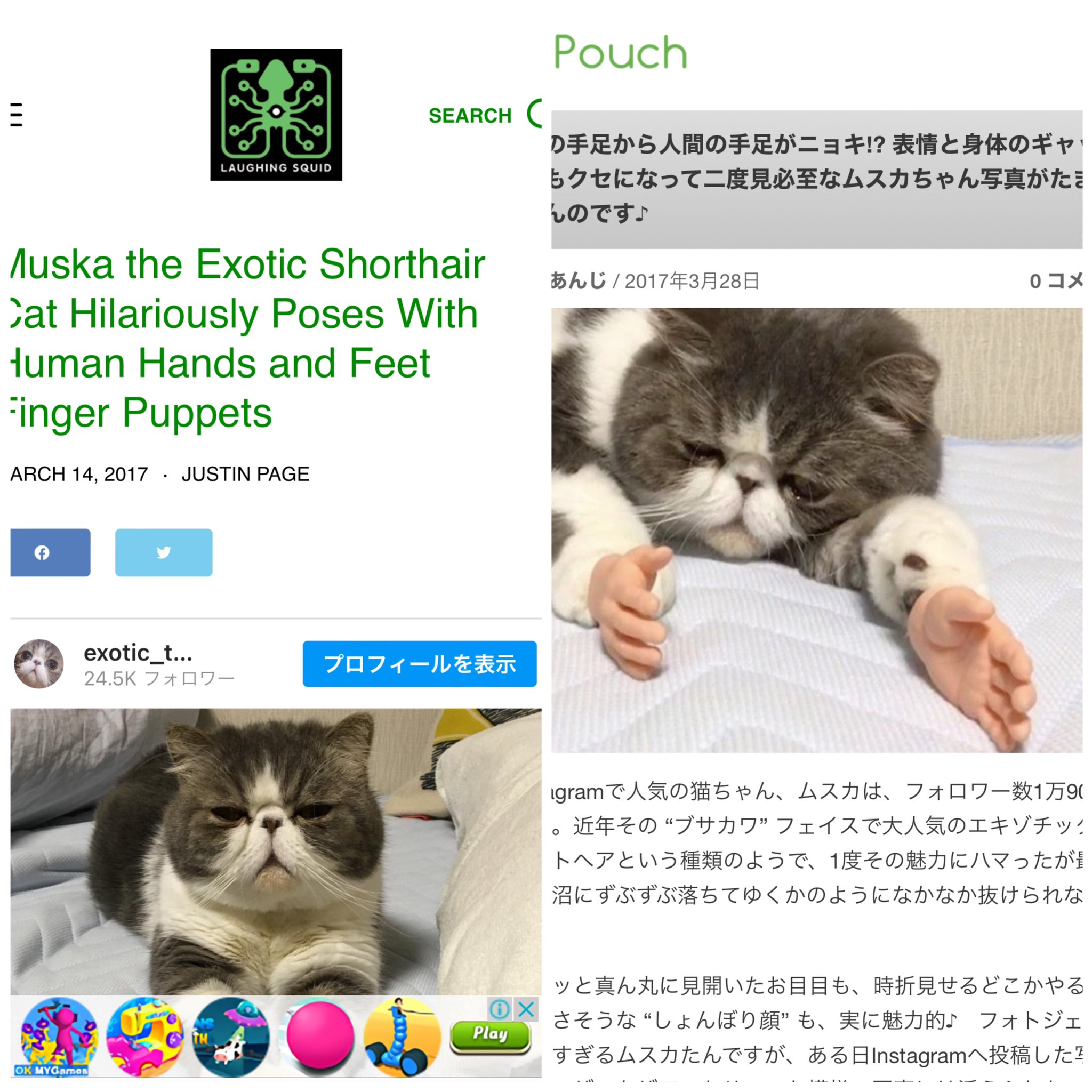 めだかの喜ぶ猫さま(=^・^=)『す』 予約】坂本千明『ねこのうた』2026年カレンダー | erimaki