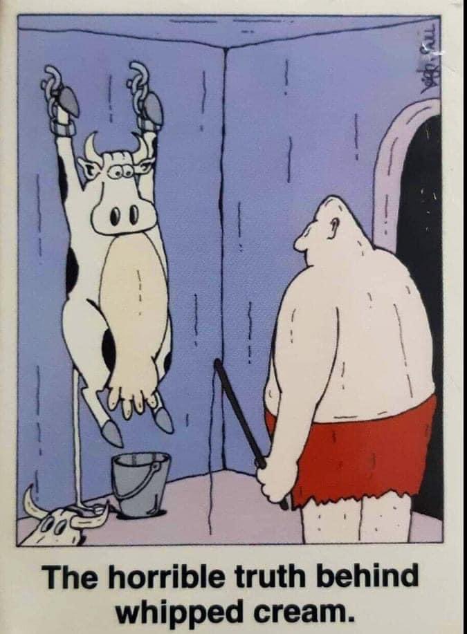 MastersRex's tweet image. 