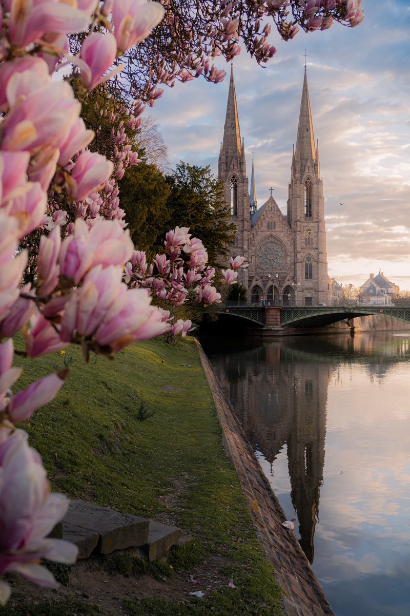 Damien Maurin tweet media