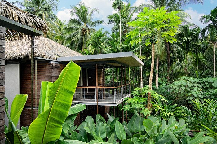 utravele's tweet photo. Book Tilar Siro, Andaman

#andaman #tilarsiro #nicobar #besthotels #luxuryhotel #boutiquehotel #europe #luxurytraveller #pool #hoteldeals #travel #travelblog #travelblogger #vacation #holiday #traveling #traveler #tourist #tourism #trip #explore #adventure #travelphoto https://t.co/Df2xfm8JVn