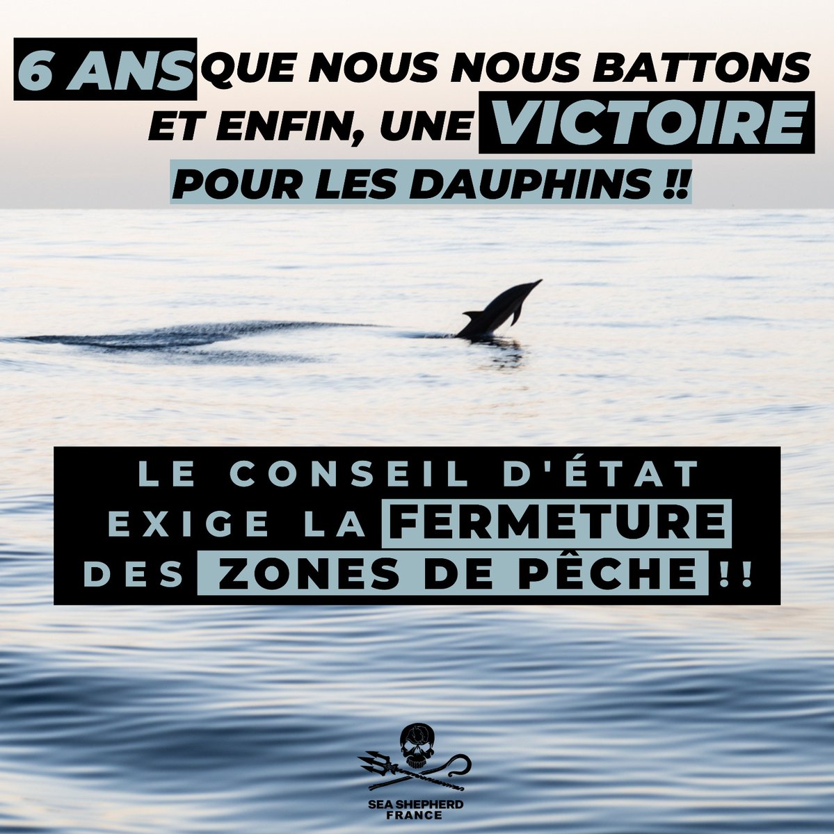 SeaShepherdFran's tweet photo. VICTOIRE HISTORIQUE POUR LES DAUPHINS !!! MERCI MERCI MERCI A TOUS CEUX QUI NOUS SOUTIENNENT DEPUIS TANT D'ANNEES DANS CE COMBAT. CETTE VICTOIRE EST AUSSI LA VOTRE 💪💙 https://t.co/e6lhQloxsr