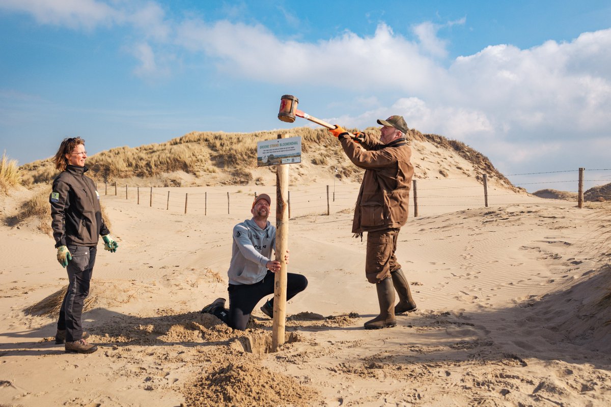 hetgroenestrand's tweet photo. Afgelopen zaterdag werden er meer dan 120 palen in de grond geslagen voor een nieuw rustgebied voor de #strandvogels tijdens het Groene Strand PULLKA workout in Bloemendaal Aan Zee. PULLKateers super bedankt! 💪🙏 #broedseizoen #bescherming #workout
https://t.co/yl186EmSux https://t.co/aQZ2GKaJM8