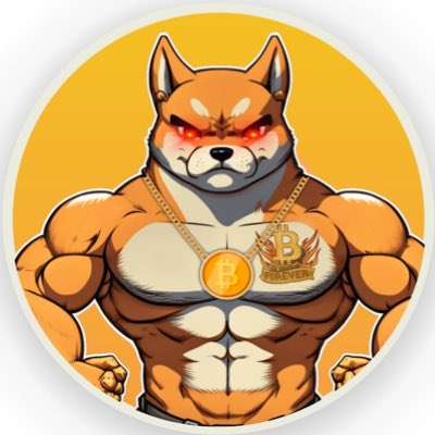 OrdinalShibaPro's tweet photo. There is a new guy on the block. We are #Shiba on #Bitcion. $oSHIB #NewProfilePic https://t.co/IL8YlgZAE3