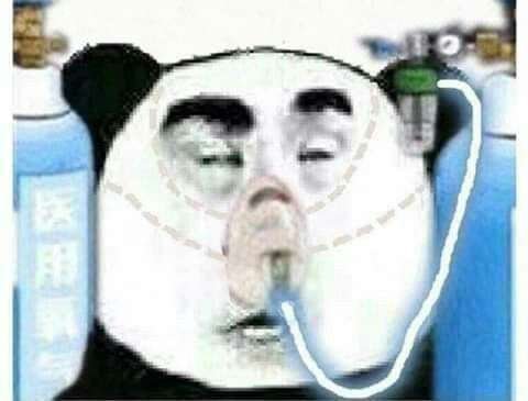 usogua's tweet image. a thread of every image of this panda that i could find :