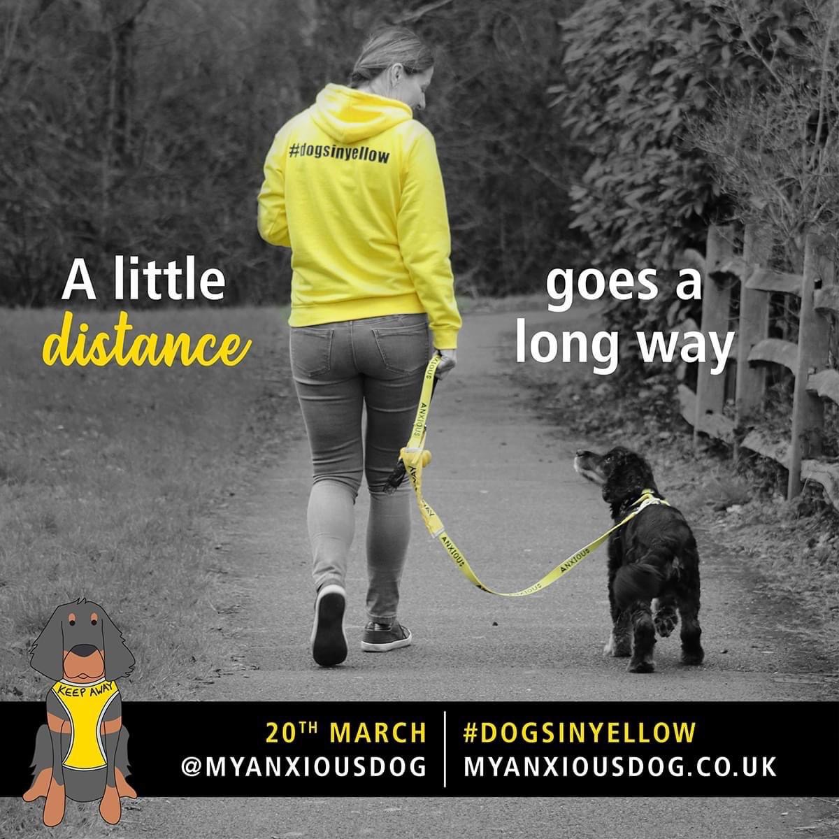 K9TrailTime's tweet photo. Did you know that today is #dogsinyellow day?
Iโm sure weโve all had that experience with a strange dog too close for comfort, dogs in yellow day is all about recognising the dogs who need a bit more space, something we can all support!
#dogsinyellowday #myanxiousdog https://t.co/IyyVQ2ScYG