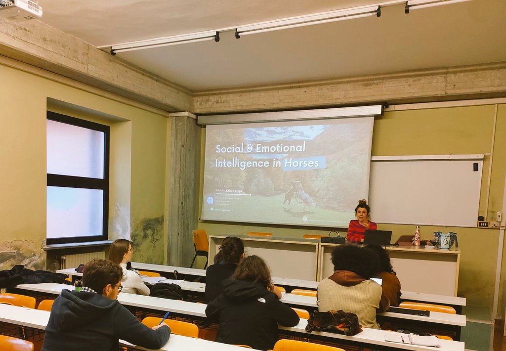 Chiara Scopa tweet media