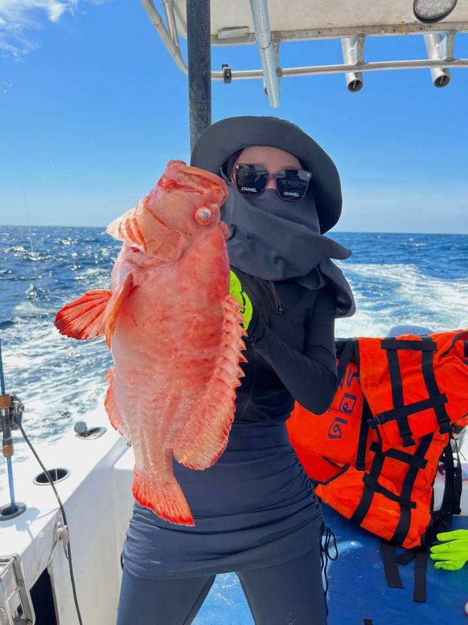 Allendebi3454's tweet photo. The charm of fishing is that it is the pursuit of what is elusive but attainable, a perpetual series of occasions of hope. https://t.co/o15E1l1oWj