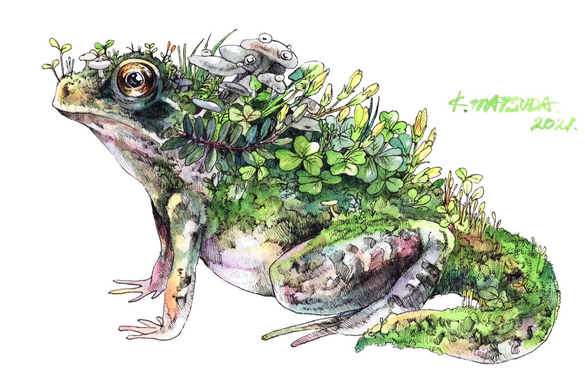 「#世界カエルの日 」|Keso Artのイラスト
