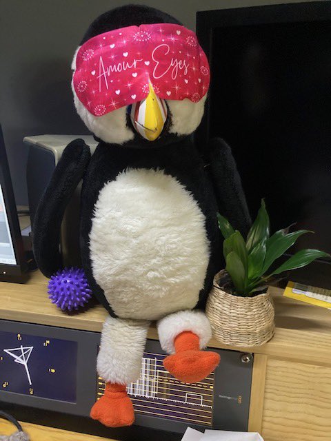 Oscar Puffin tweet media