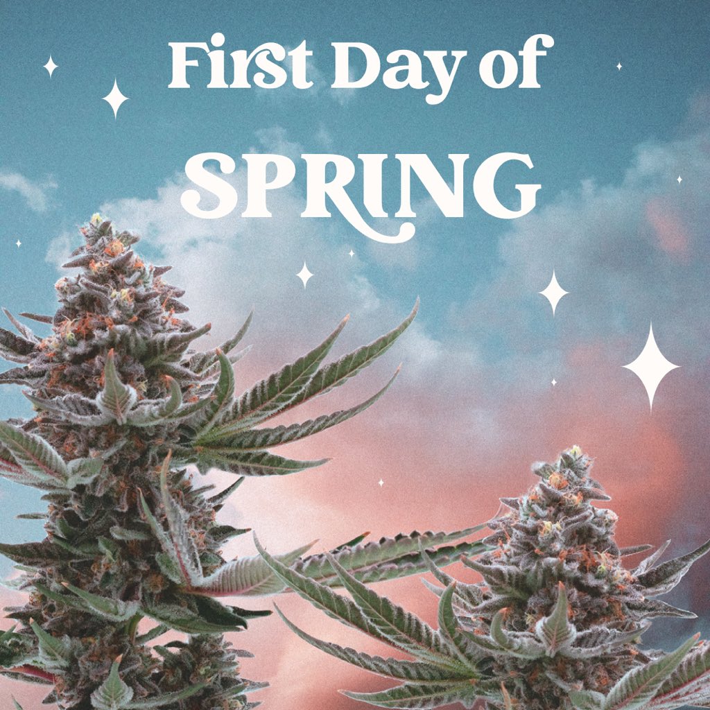 letsgocampbrand's tweet photo. It's that time of the year again! IT'S SPRING! Go and smell the flowers -- all the flowersย ๐๐
#letsgocamp
*Nothing For Sale https://t.co/NtXjODslxN