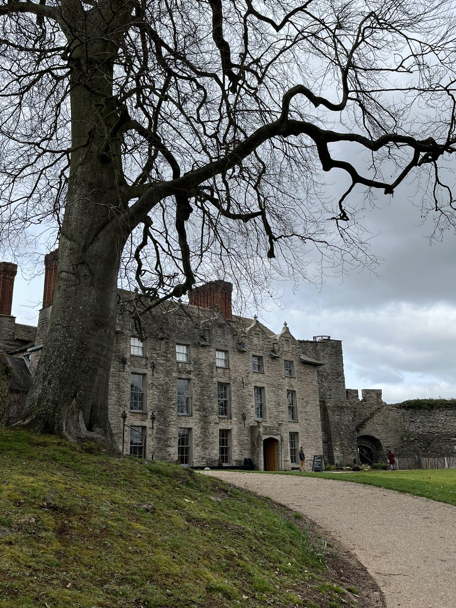 art_in_textiles's tweet photo. @HerefordHourbiz Hello #herefordhour I recommend @haycastle for #MothersDay lunch. The food was excellent and the service friendly and efficient. Lovely atmosphere too! https://t.co/OMNYlU93kC