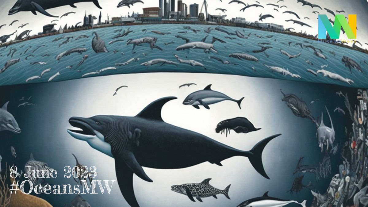 Program in English  ✅ 
Programme en français ✅ 
Programa en español ✅ 
Programa em português ✅ 
Programa en català   🔜 

Check on our website!
museum-week.org