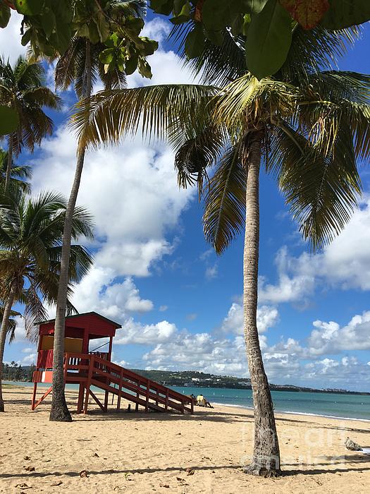 ATerrillFineArt's tweet photo. New artwork for sale! - "Luquillo Beach" - https://t.co/WWtxvfaIaS @fineartamerica https://t.co/I6QxAAor55