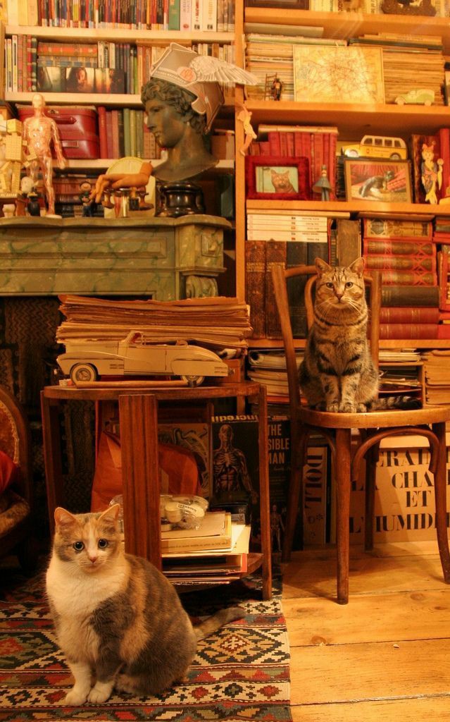 toadboyben's tweet image. ~☆~2023 in books~☆~