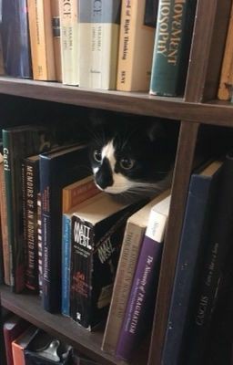 toadboyben's tweet image. ~☆~2023 in books~☆~