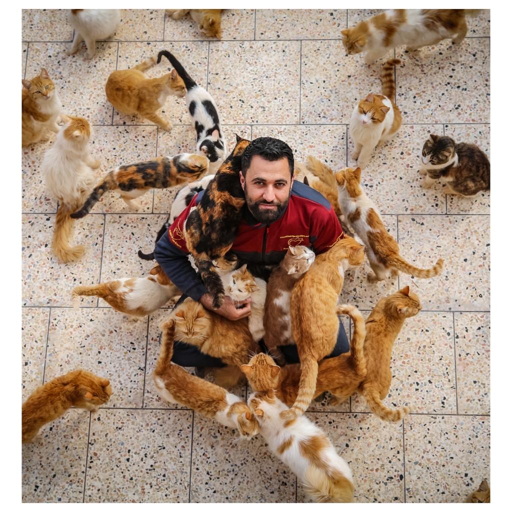 mohamad_saeed4's tweet photo. Animal lovers treat several cats and dogs in Idlib
IDLIB, SYRIA - MARCH 12
Photo Muhammed Said @anadoluajansi @anadoluimages
#AA #idlib #syrian #Syria #Turkey #photographer #Anadoluajansi #photography #photo https://t.co/H2WuGN7sBX