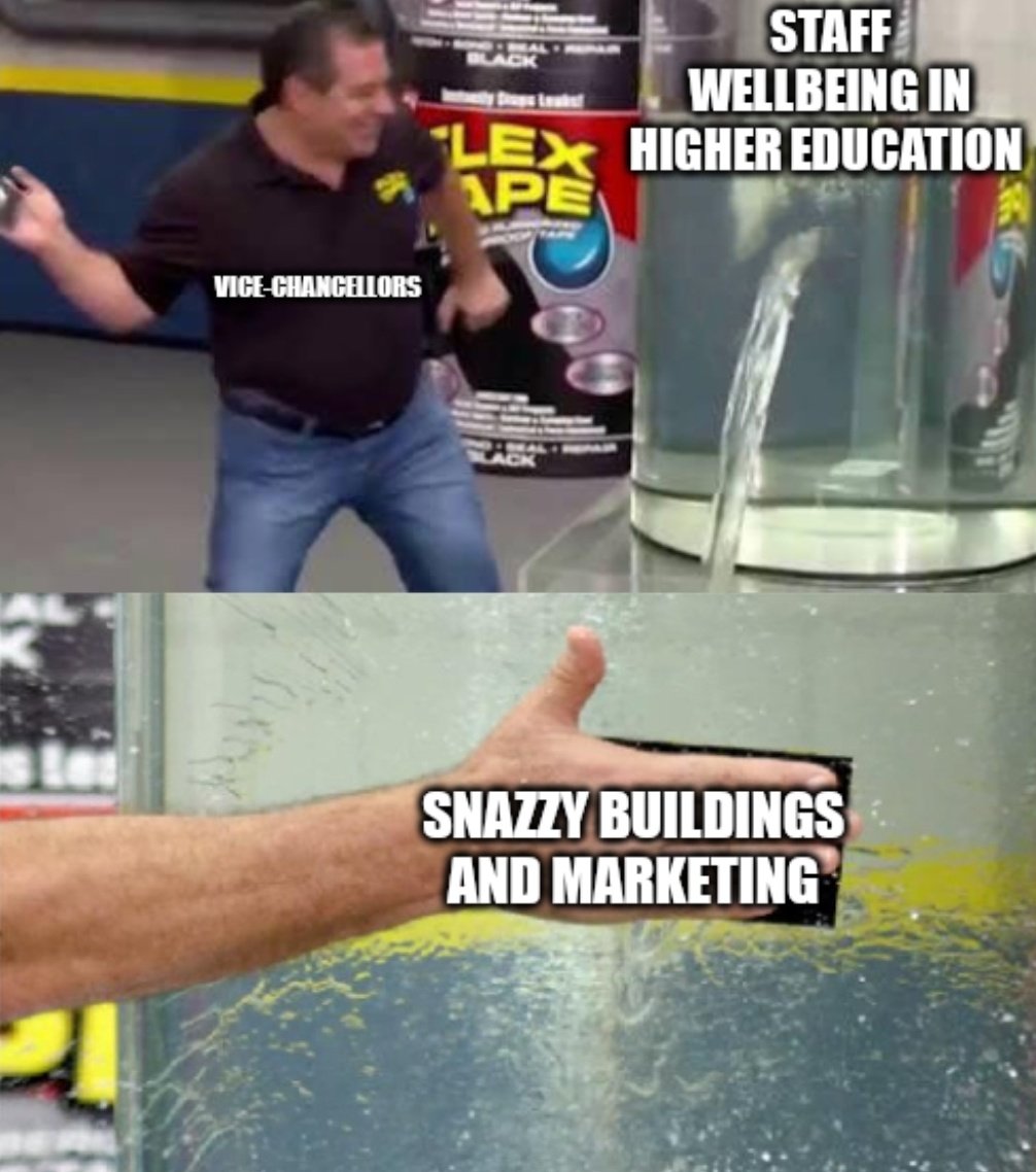 We strike for fair pay, safe workloads, fair pensions, and to fight casualisation and equality gaps.

What principles do VCs have, if they don't share these? 🤔
 #ucuRISING #UCUstrike #UCU