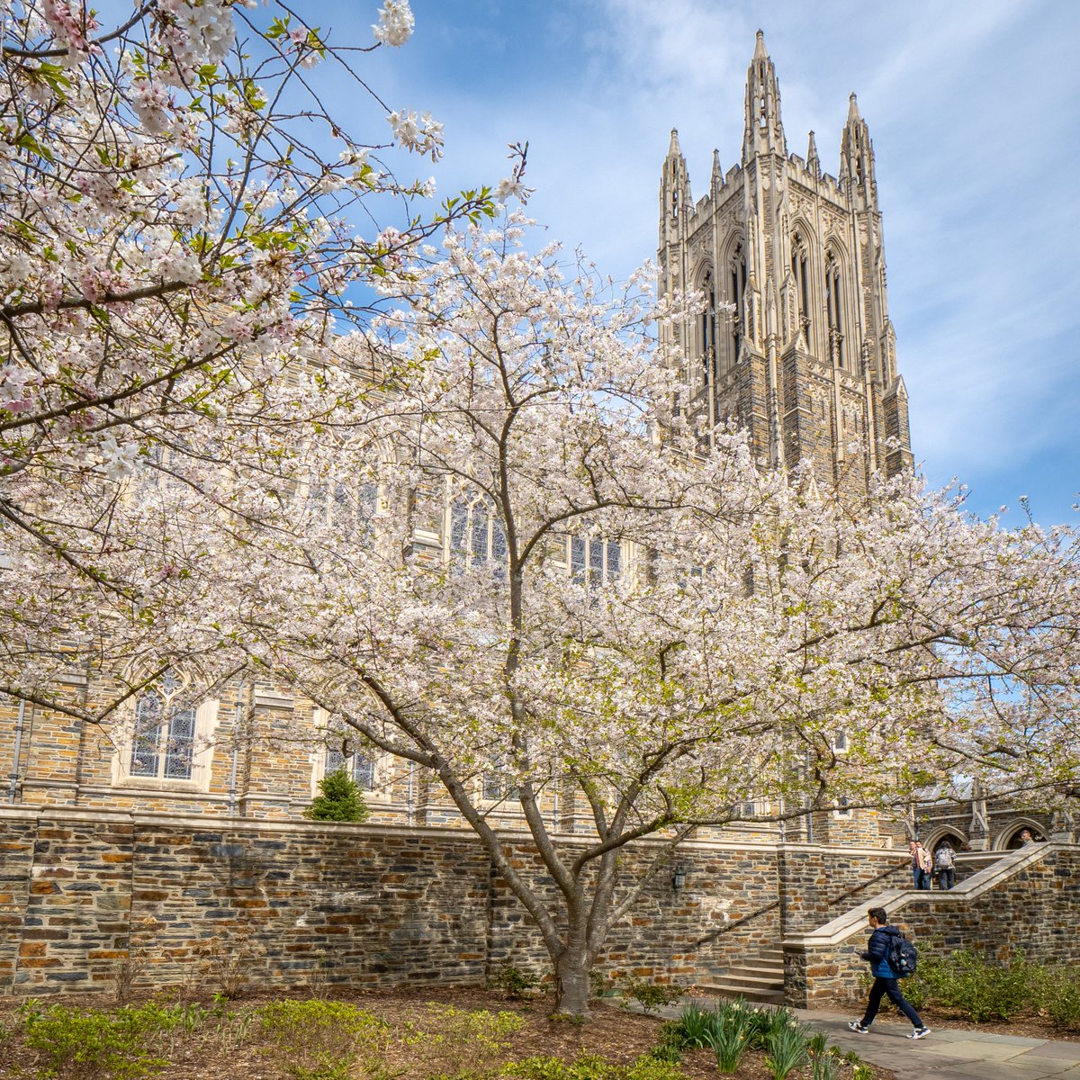 Happy first day of spring from Durham!