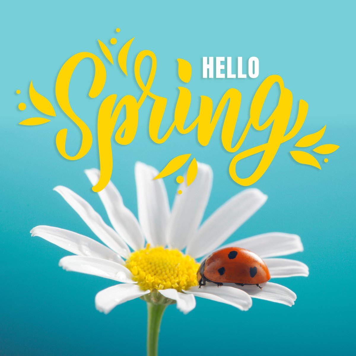 Happy Spring.🌸 
Spring is Springing here at BTI!

#FirstDayofSpring