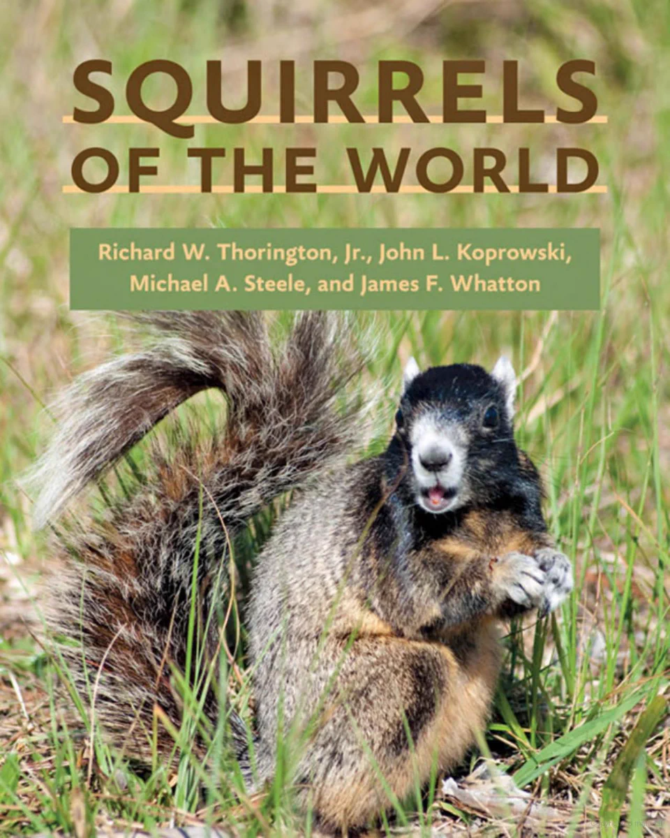 The front cover of a book titled Squirrels of the World. Authors: Richard W. Thorington, Jr., John L. Koproski, Michael A. Steele, and James F. Whatton. The cover shows a photo of a single squirrel with a black head, brown-orange-grey body and tail, it's squatting on its hind legs and has its hands posed just below its face, like its elbows are resting on its knees, its squatting in grass. 