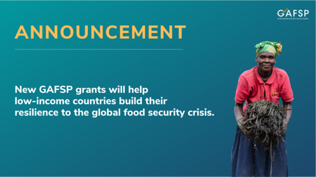 📢 USD$220 million in new @GAFSPfund grants will help strengthen agricultural productivity in low-income countries, in response to the global food crisis. 

Learn more: bit.ly/3n1YBNE 

#InvestFarmtoTable
