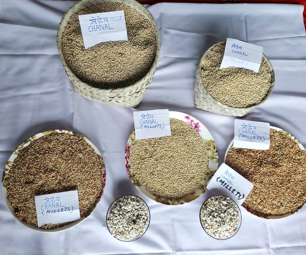 bem_hidang's tweet photo. Celebration of  #PoshanPakhwada2023 starts 
focusing on Millets for nutritional- Wellbeing by Anganwadi Workers &amp; Helpers of Sector 19 ICDS Project Imphal East-I Manipur #InternationalYearOfMillets @MinistryWCD @POSHAN_Official https://t.co/yAILVFIJnp