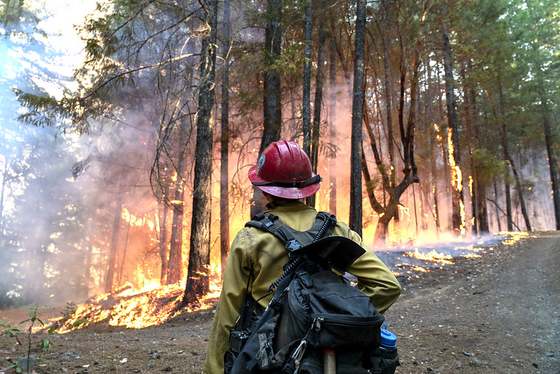 🔥Are you ready for a job that is anything but ordinary?🔥
Now hiring permanent Fire and Aviation Management staff! Accepting applications March 20-29. 
➡️fs.usda.gov/detail/r9/jobs…⬅️ #Job #JobSeekers #jobopportunity #nowhiring #firefighter #forestryJob #Employment
