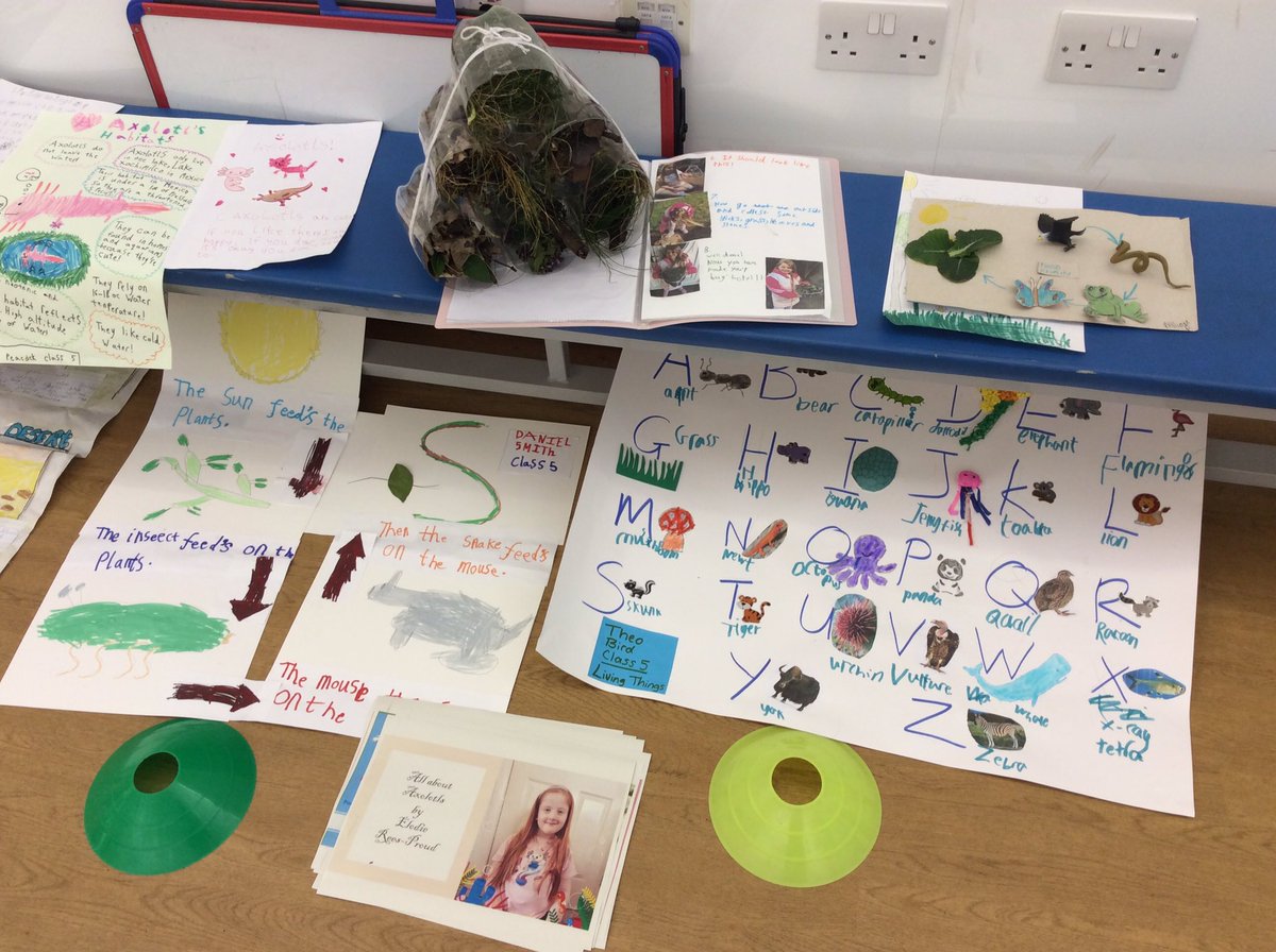 Greenland School tweet media