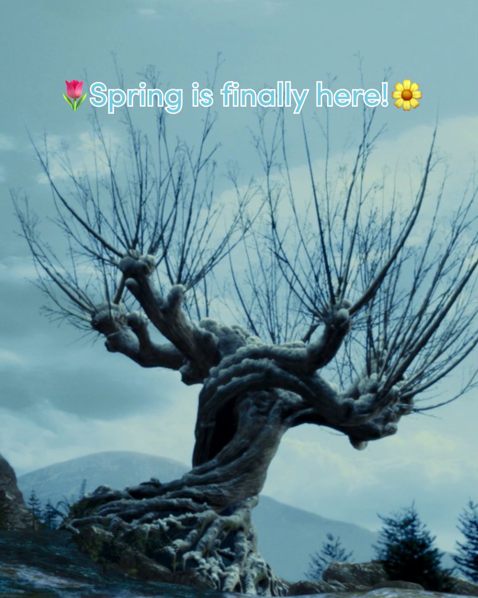 Harry Potter Film on Twitter: 