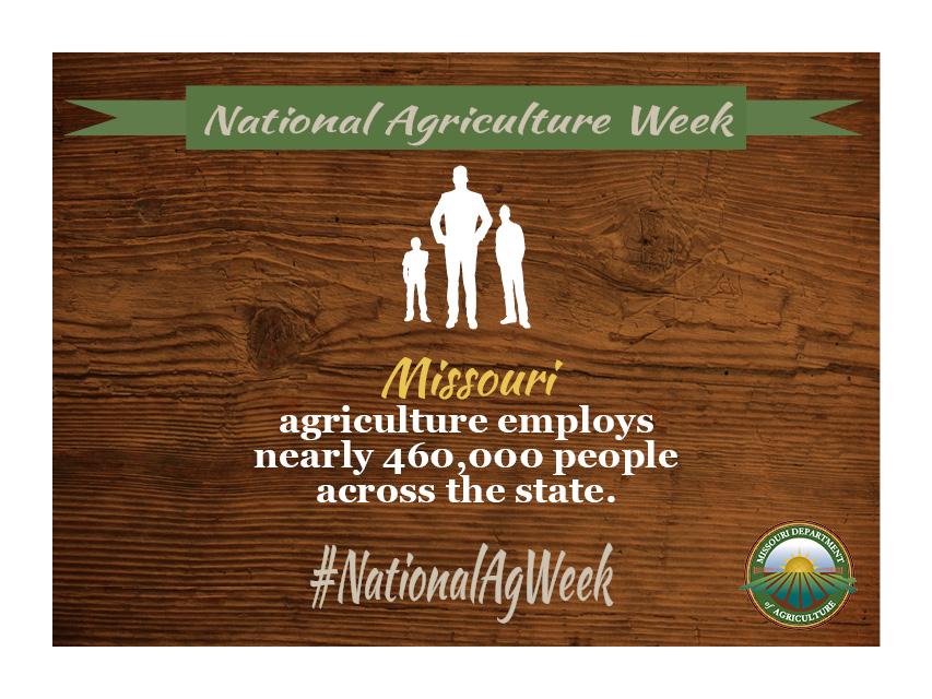 MoAgriculture's tweet image. By employing nearly 460,000 Missouri citizens, #MoAg is incredibly valuable to Missouri's economy!

#NationalAgWeek #empowerMore