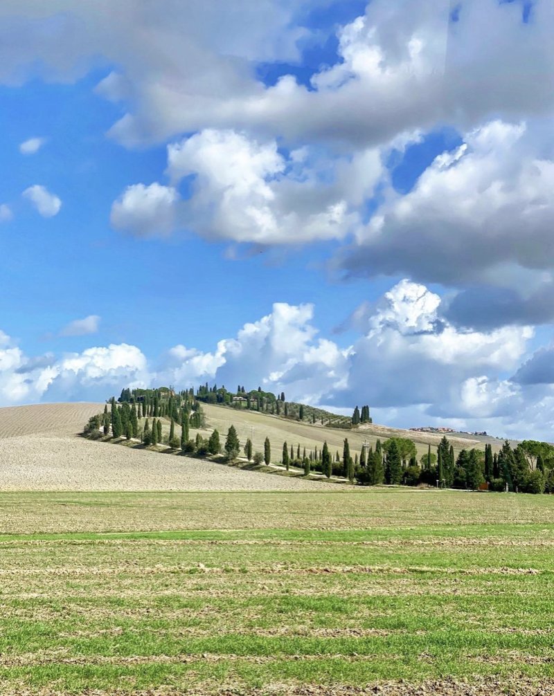 The #ViaLauretana is an Etruscan route that reaches #Cortona by crossing the #CreteSenesi area. The Lauretana starts in #Siena, where the route meets the #ViaFrancigena.
👉 bit.ly/Via-Lauretana-…

📸 IG talaricoeidos