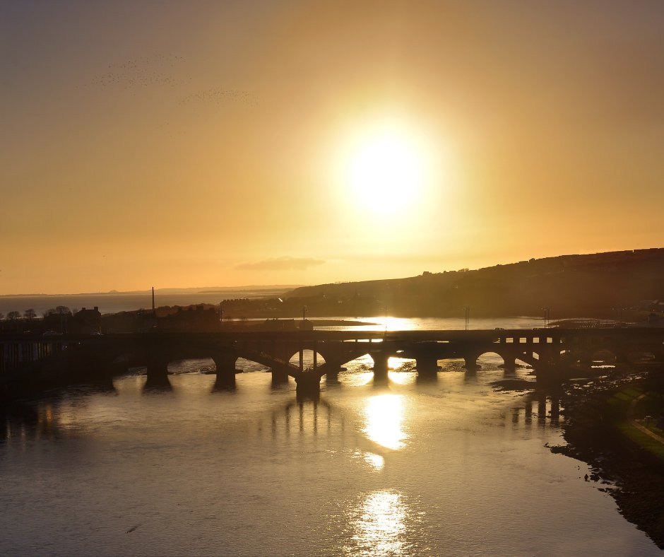 RuralBusinessGrowthService tweet media