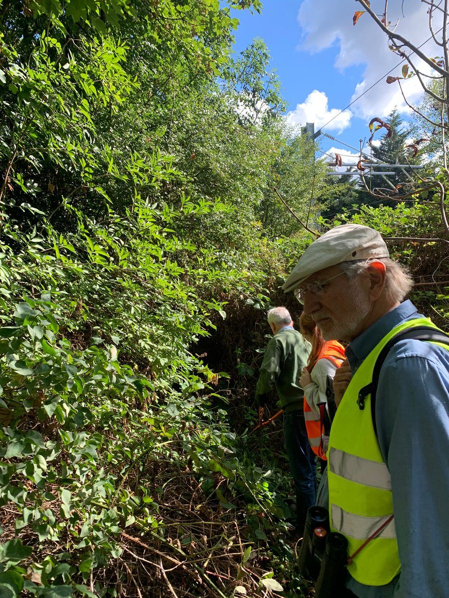 Happy #WorldRewildingDay 🌍

It's great to see so many of our survey areas and partners getting support from the #RewildLondon fund to promote future rewilding projects 🦔🌱🦫

Here are some pictures from our Rewild London fund project last year in #NorthCamden 📸