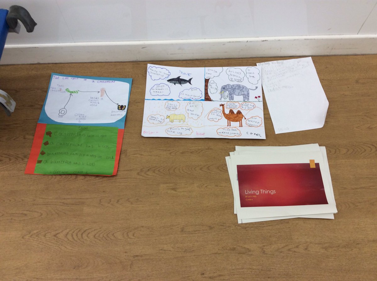 Greenland School tweet media