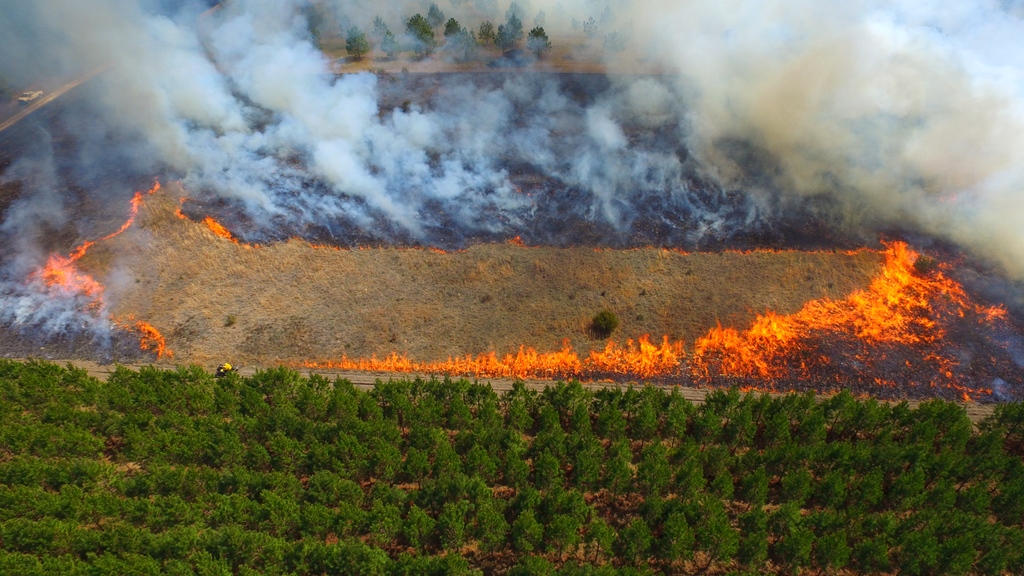 #DYK prescribed burning is an ancient practice, notably used by Native Americans for crop management, insect and pest control and hunting habitat improvement, among other purposes? #GoodFire #PrescribedFire #KeepingForests #ForestProud #PrescribedBurn #RXFire