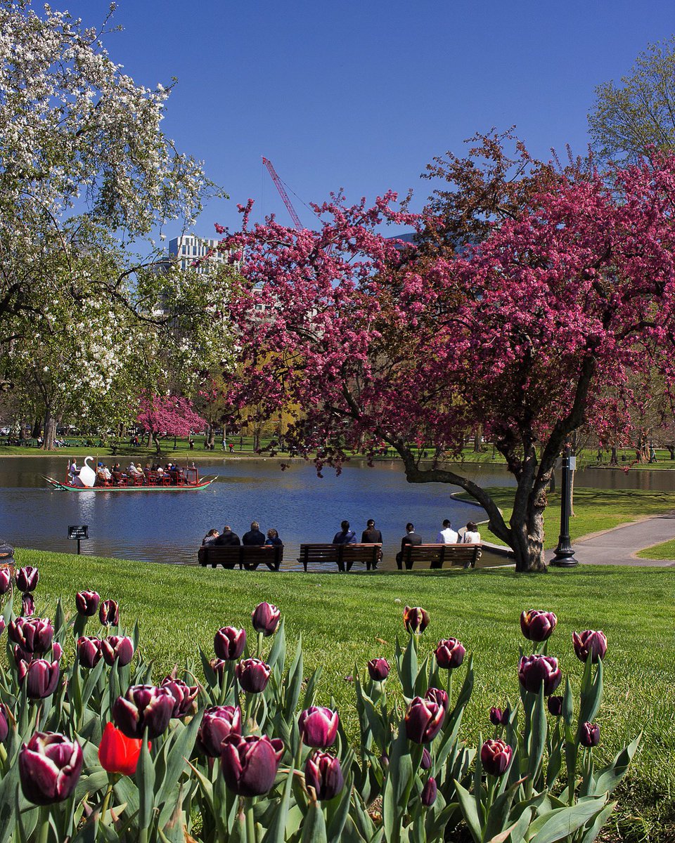 Ben Edwards on Twitter: 