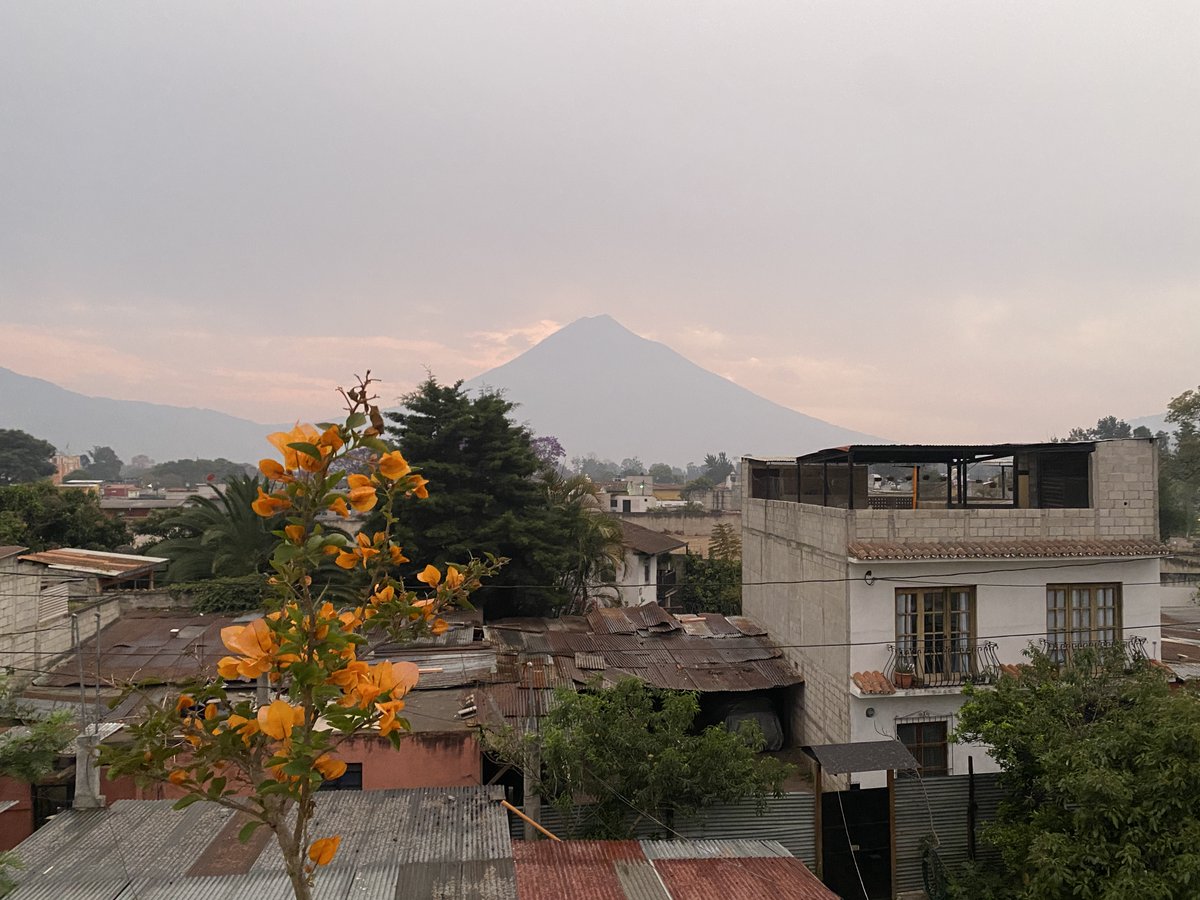 🌼Hello, first day of spring!

Enjoy this beautiful scene from 'the land of the eternal spring'!
---

🌼¡Hola, primer día de primavera!

¡Disfruten esta hermosa escena de 'la tierra de la eterna primavera'!