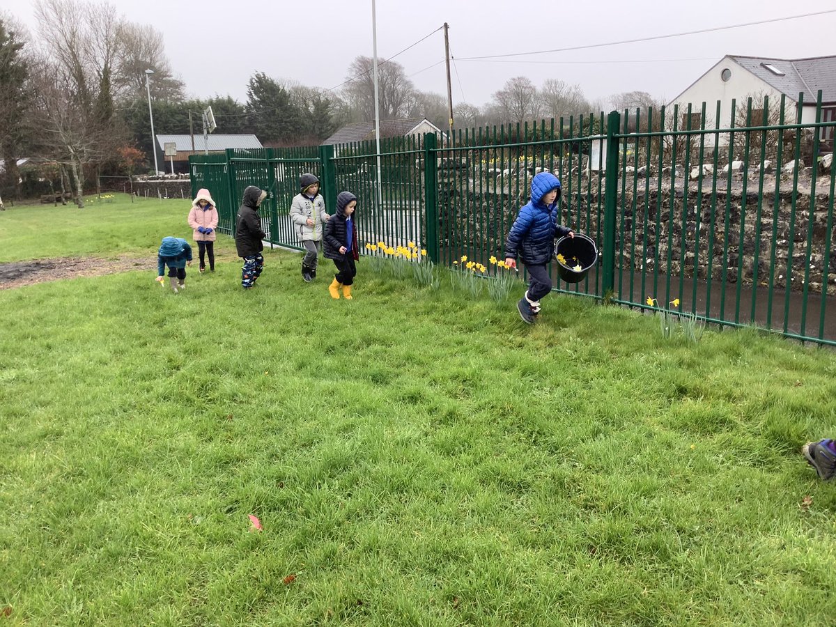 llanrhidianp's tweet photo. #LlanPysgodyn The rain didn’t stop us foraging for natural resources to make our nature Easter Eggs. #LlanFun #LlanOut #LlanExp #LlanRE https://t.co/bsMcLHk1as