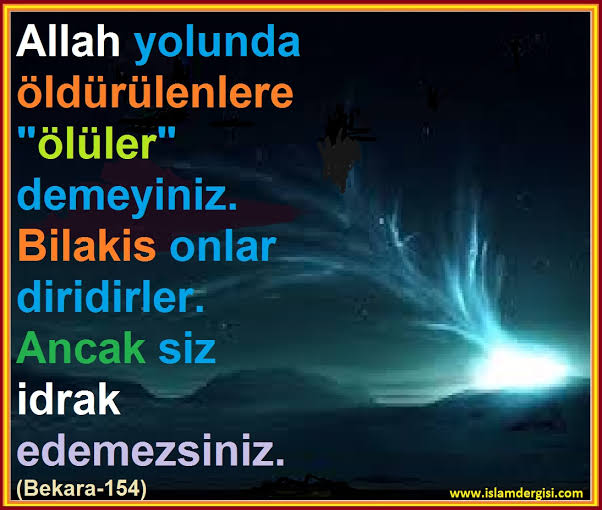 Selmaa001's tweet photo. @nehiirkarakus https://t.co/evznJvLVRA