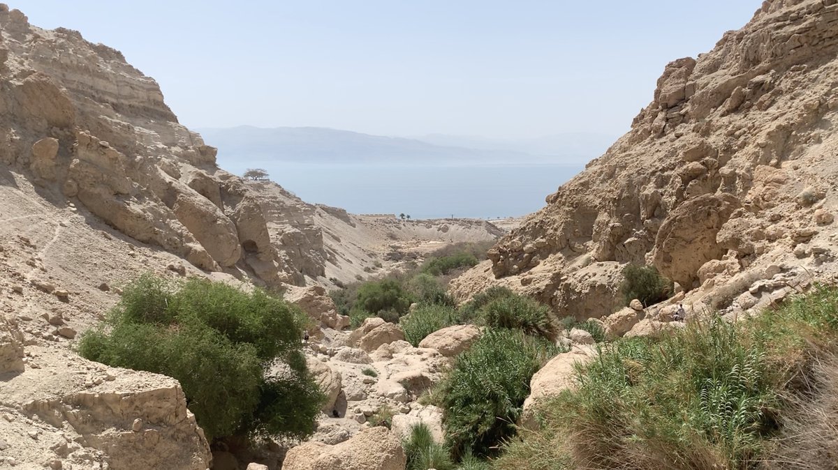 History Time tweet media