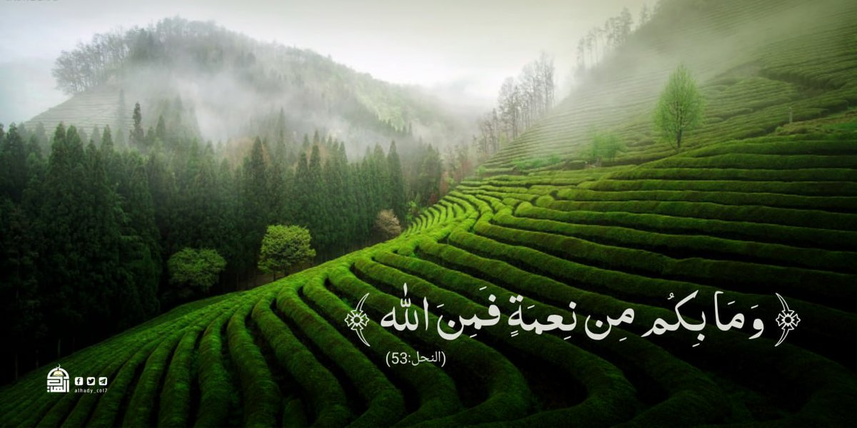 {وما بكم من نعمة فمن الله}