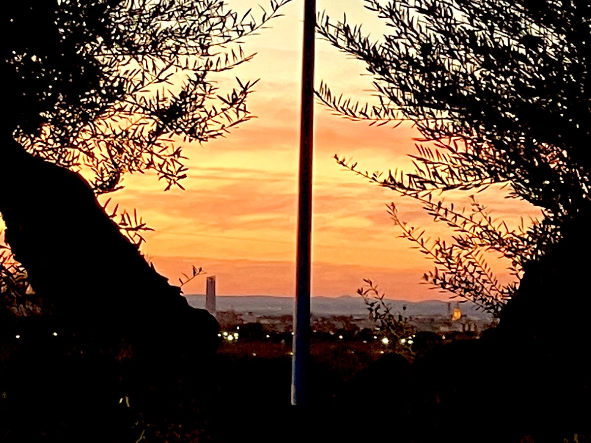 MacarenayPaco's tweet photo. #TorrePelli al fondo y #lagiralda La Gira🛕da https://t.co/hcvHT7AVwt
