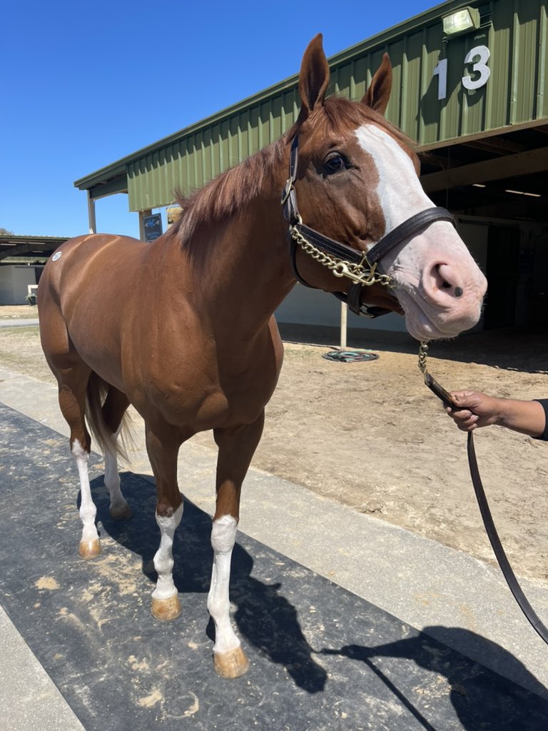 Crown's Way Racing on Twitter: