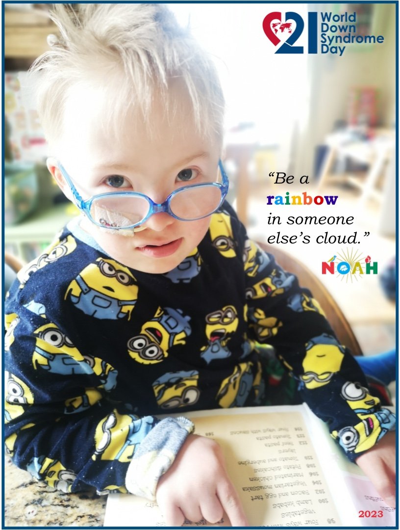 Noahs Bed Push tweet media