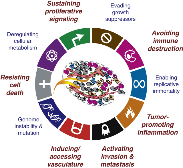Cancer_Cell's tweet photo. Cancer hallmarks intersect with neuroscience in the tumor microenvironment https://t.co/7EZ1n1vvXc https://t.co/lPHREoqOGC