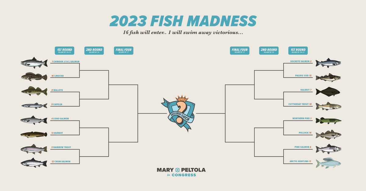 Mary Peltola tweet media