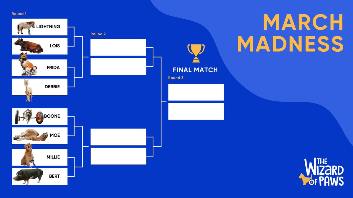 We know it's hard to choose just one animal! 💞 Did you have a favorite #WizardofPaws episode? Let us know in the comments! #WizardofPawsTV #BYUtv